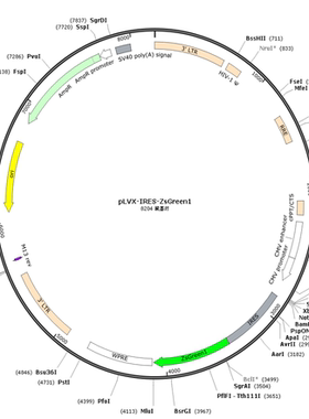 pLVX-IRES-ZsGreen1