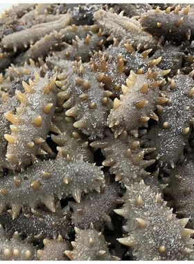 贝鲜丰澄海参礼盒RE-1000S