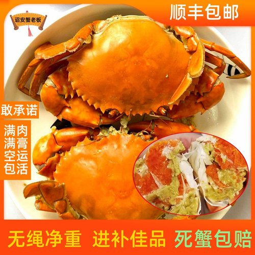 全母膏蟹净重2斤3~4只红膏蟹礼盒