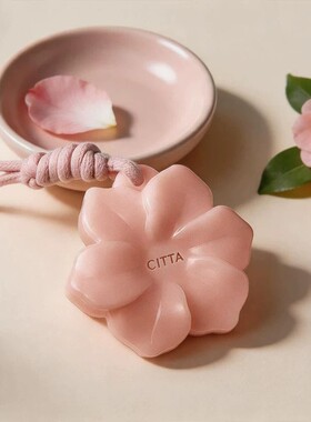 CITTA西苔婺州山茶花香氛蜡片清新空气衣柜卧室厕所香氛挂件礼物