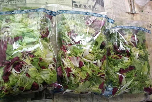 混合生菜沙拉菜沙律轻食500g