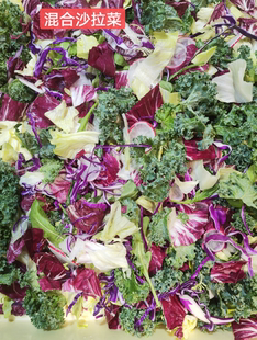 一口田净菜,即食沙拉 已清洗生菜 混合蔬菜 真空包装 500g/包