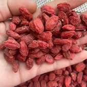新疆特产精河县红枸杞原色天然无硫熏无加工泡茶非宁夏500g