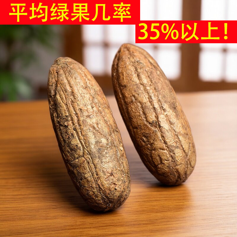 精品千眼菩提子原籽原料白果大果胖果天然翡翠绿色文玩手把件挂件