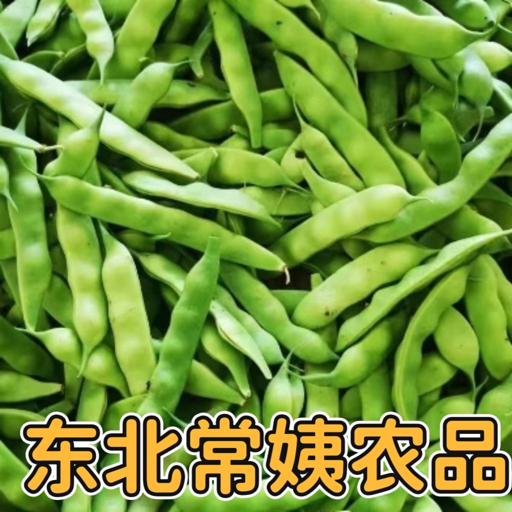 正宗东北油豆角九月青吉林省现摘新鲜蔬菜当季嫩蔬菜大宽油豆角