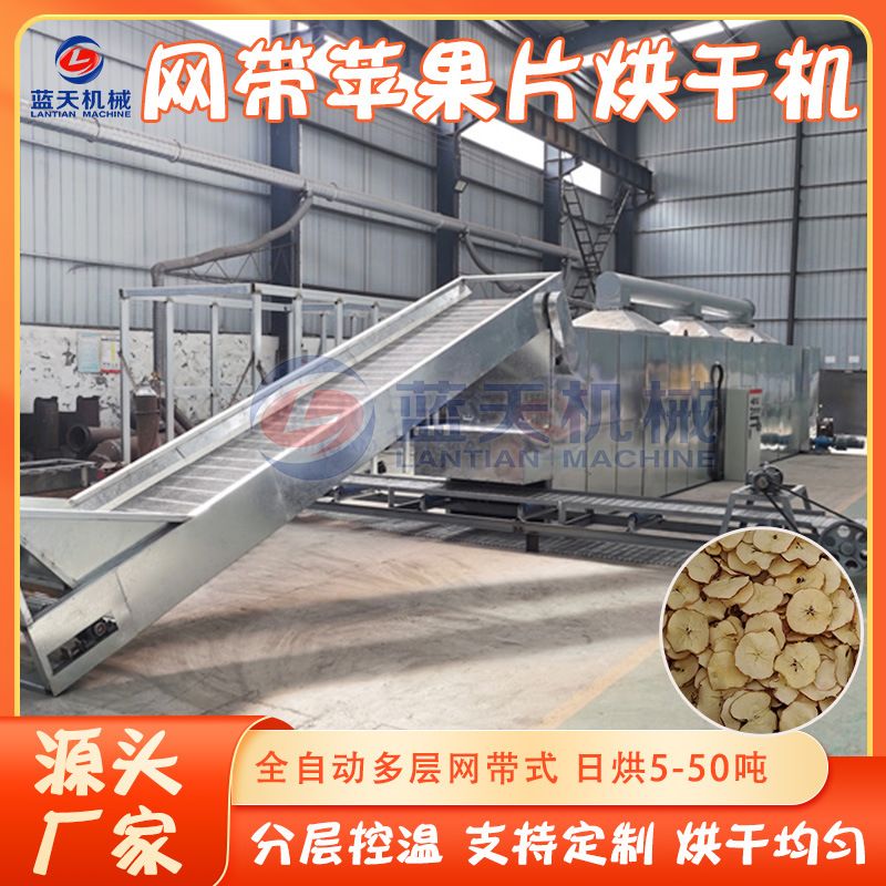 网带苹果干烘干机 全自动苹果水果切片烘干生产线 苹果片烘干设备