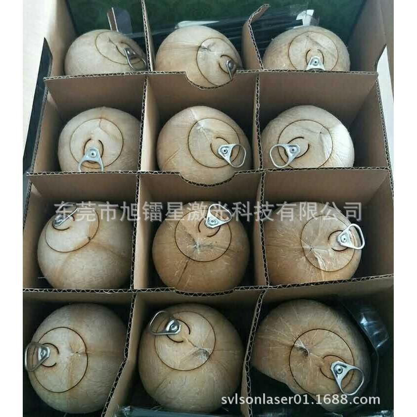 供应泰国 台湾云南南部 广州椰子画线开盖装拉环 水果激光切割机