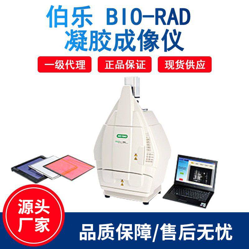 美国伯乐Bio-Rad凝胶成像仪系统ChemiDoc/GelDoc凝胶文档系统