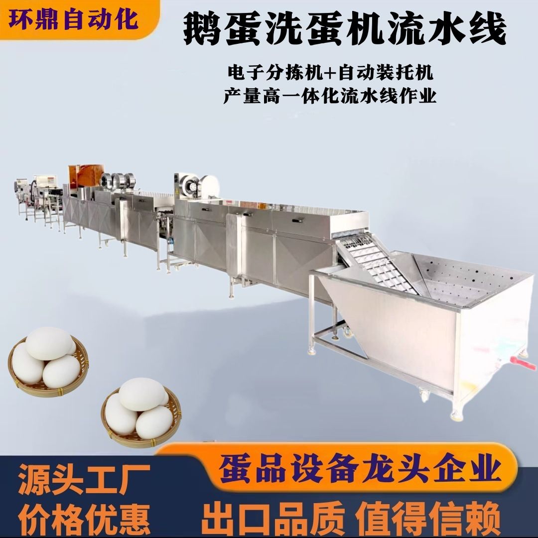 商用盐水蛋去泥清洗机保洁蛋生产加工流水线鸡鸭蛋单双多排洗蛋机