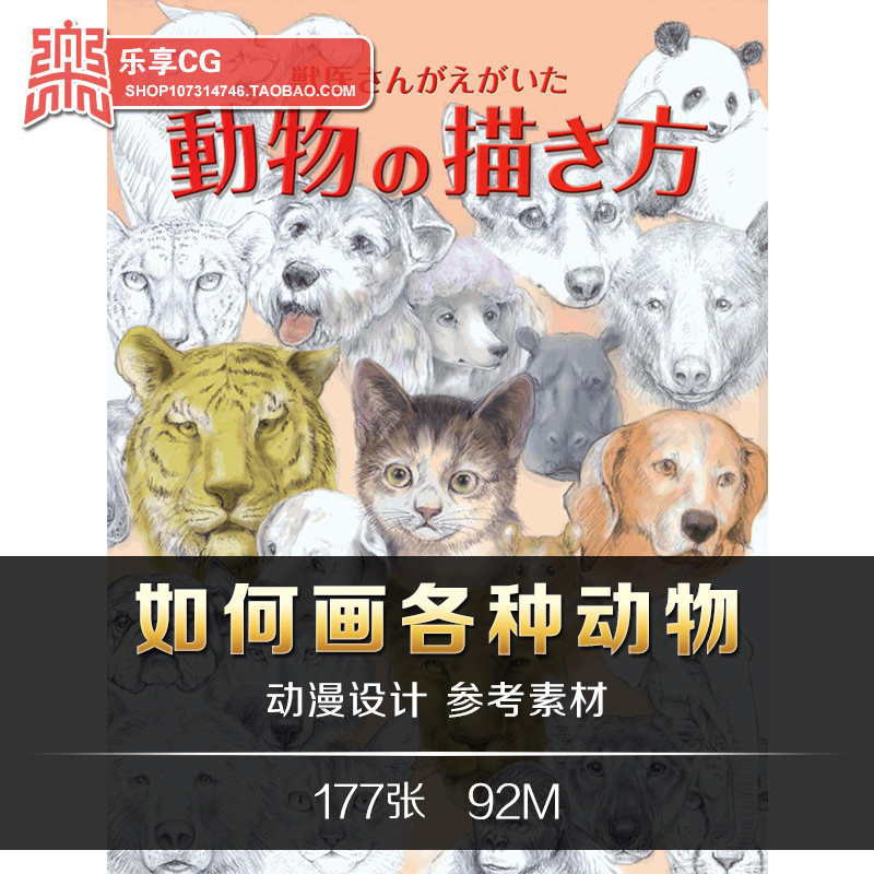 动物的画法 宠物猫狗形体构造轮廓 素描线稿手绘美术资料参考素材