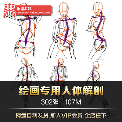 绘画专用人体解剖形体构造四肢躯干肌肉表现手绘美术参考资料素材