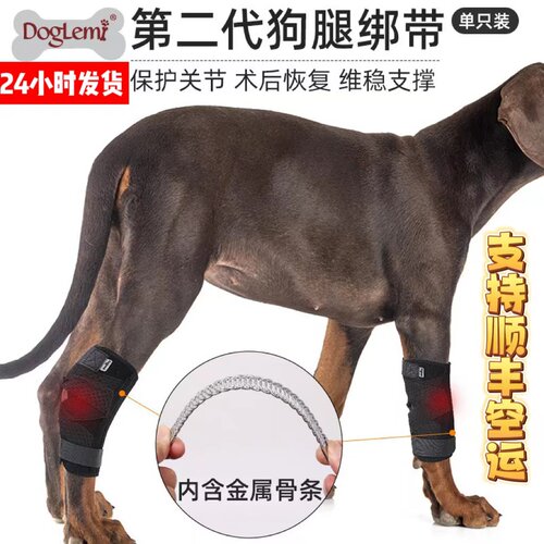 宠物狗狗关节辅助带老年犬康复品