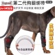 宠物狗狗关节护膝第二代老年犬受伤残疾后肢术后辅助康复助行护具