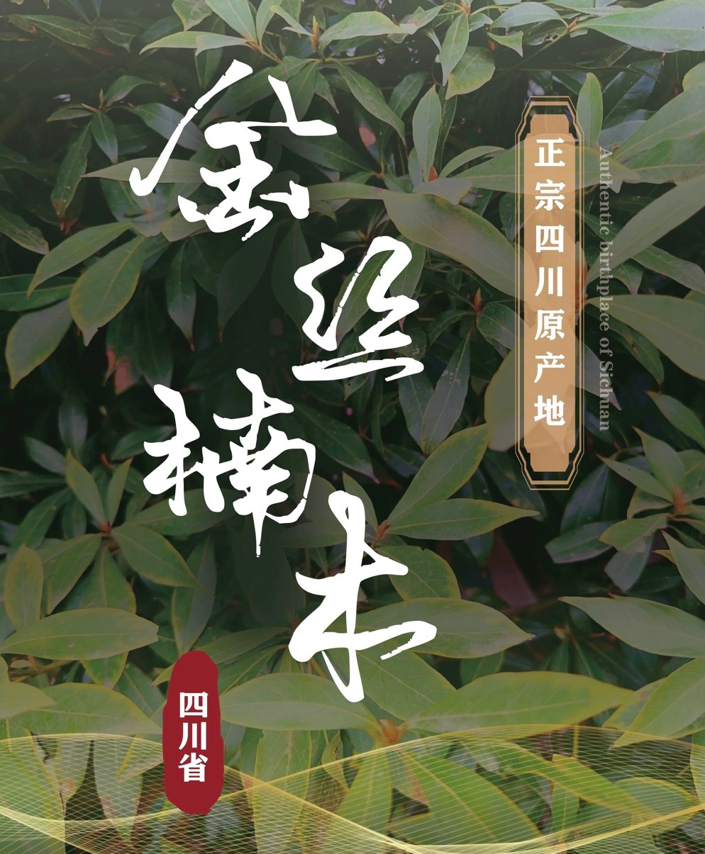 基地直发四川小叶桢楠金丝楠木