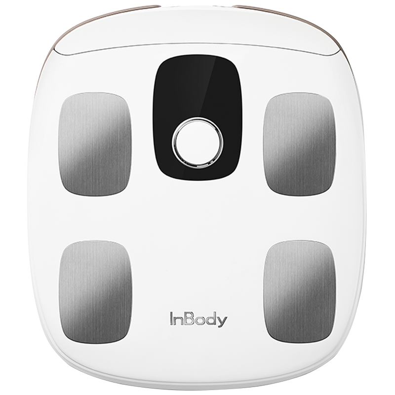 InBody  H30 便携式智能健康