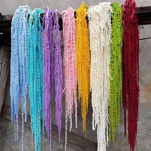 花中情吊米永生花布景装饰真花