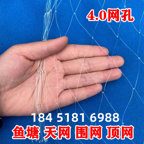 加粗大棚尼龙线防鸟网养殖天网葡萄园樱桃园果树防鸟用网鱼塘顶网
