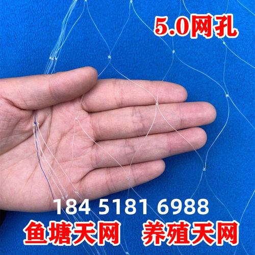 加粗大棚尼龙线防鸟网养殖天网葡萄园樱桃园果树防鸟用网鱼塘顶网