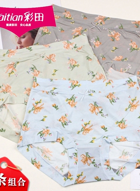 3条组合彩田柔顺丝滑女士内裤32633舒适冰丝速干加大版短裤32635