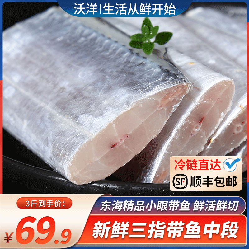 青岛精品带鱼段刀鱼块