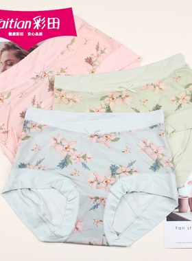 彩田舒适柔软冰丝莫代尔内裤32706女士高腰透气宽松大码短裤32708