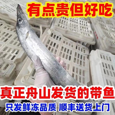 舟山小眼油带鱼东海雷达网油带鱼整条无冰特大新鲜带鱼海鲜顺丰发