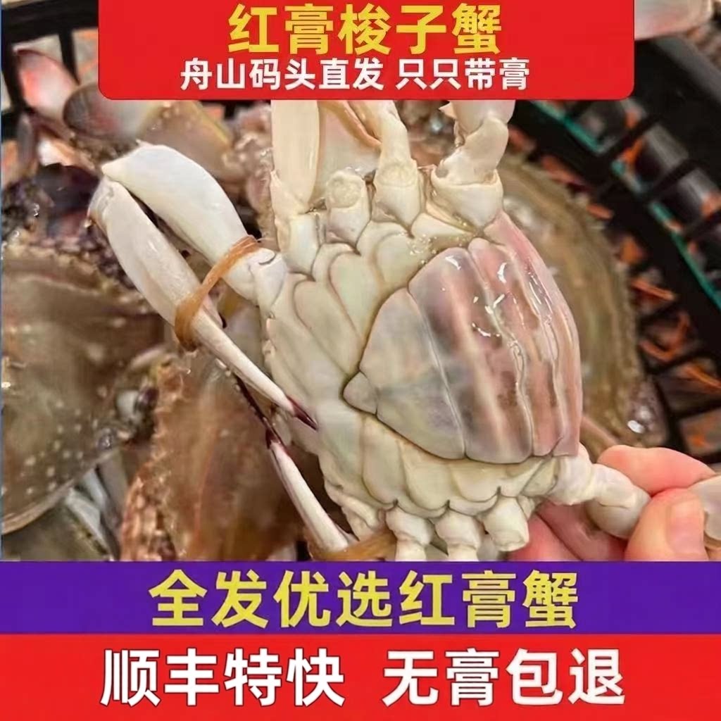 【保鲜不保活】舟山梭子蟹母蟹红膏蟹新鲜白蟹飞蟹海鲜水产顺丰
