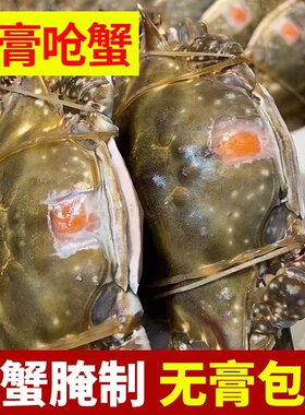 【整只】舟山宁波特产红膏生呛蟹鲜活腌制即食梭子蟹咸炝蟹顺丰发