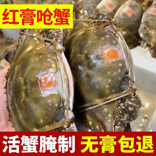 【整只】舟山宁波特产红膏生呛蟹鲜活腌制即食梭子蟹咸炝蟹顺丰发