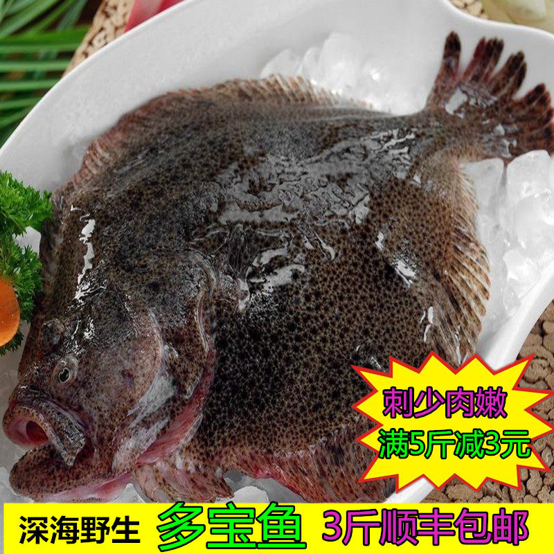 海捕新鲜海鱼平鱼鲽鱼新鲜鲜活多宝鱼欧洲比目鱼冷冻鱼