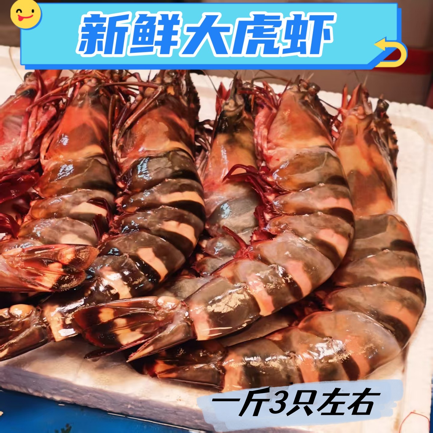 超大黑虎虾老虎蟹斑节虾竹节虾
