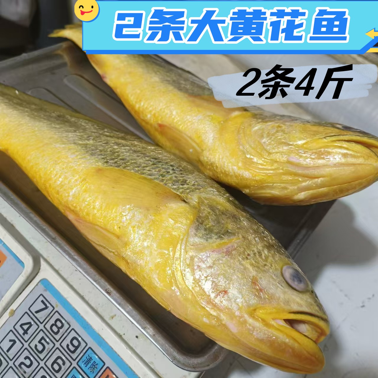 新鲜黄花鱼2条装4斤大黄鱼