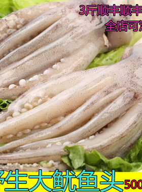 鱿鱼爪海鲜水产鱿鱼头须子