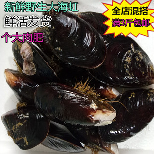 海虹3斤装鲜活当天海捕青口贝青岛贝类海鲜水大青口贝顺丰包邮