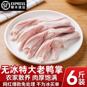 新鲜速冻带骨老鸭掌烧烤火锅