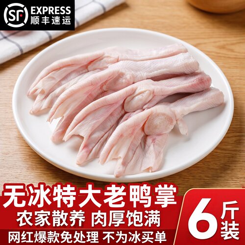 新鲜速冻带骨老鸭掌烧烤火锅