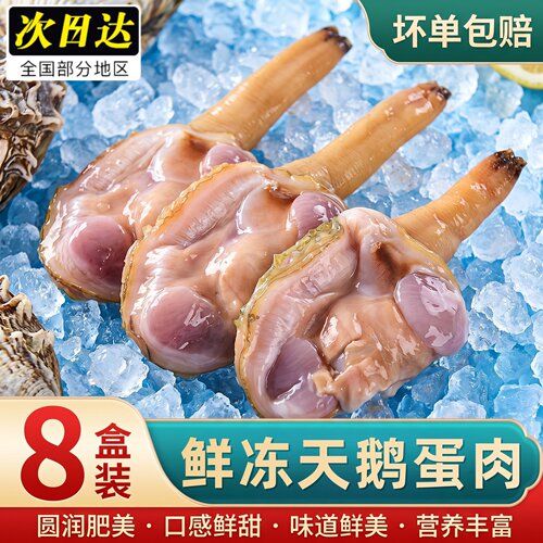 鲜活速冻去壳取肉天鹅蛋肉商用