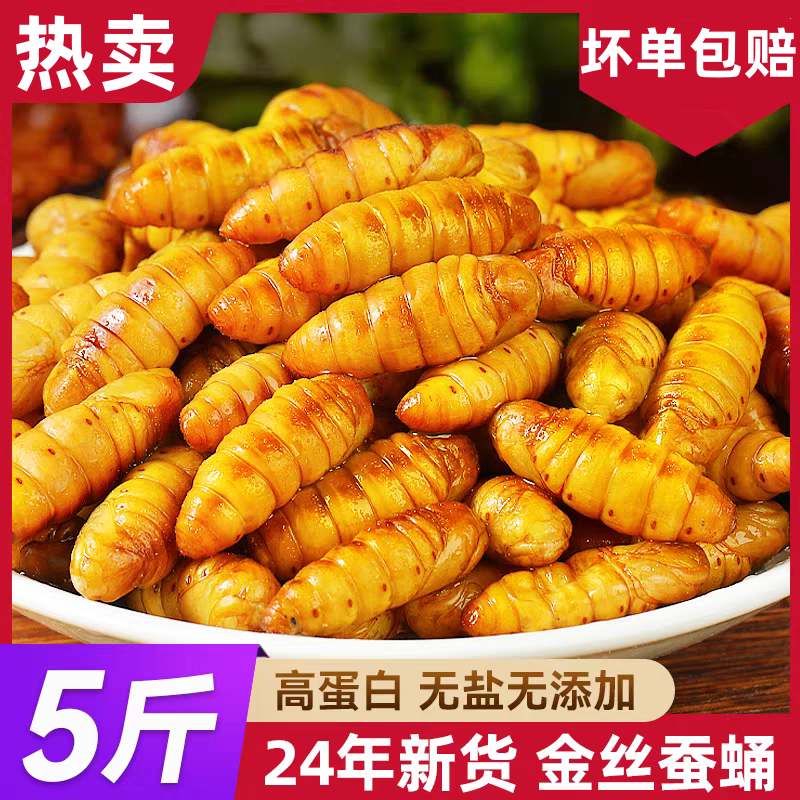 金絲大蟬蛹鮮活冷凍山東特產(chǎn)桑蠶蛹子速凍生繭蛹燒烤農(nóng)家新鮮食用