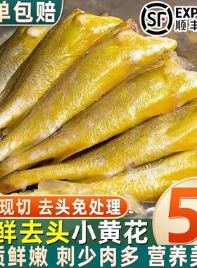 当季海捕鲜冻去头小黄花鱼