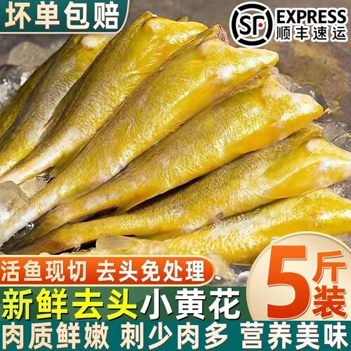 当季海捕鲜冻去头小黄花鱼