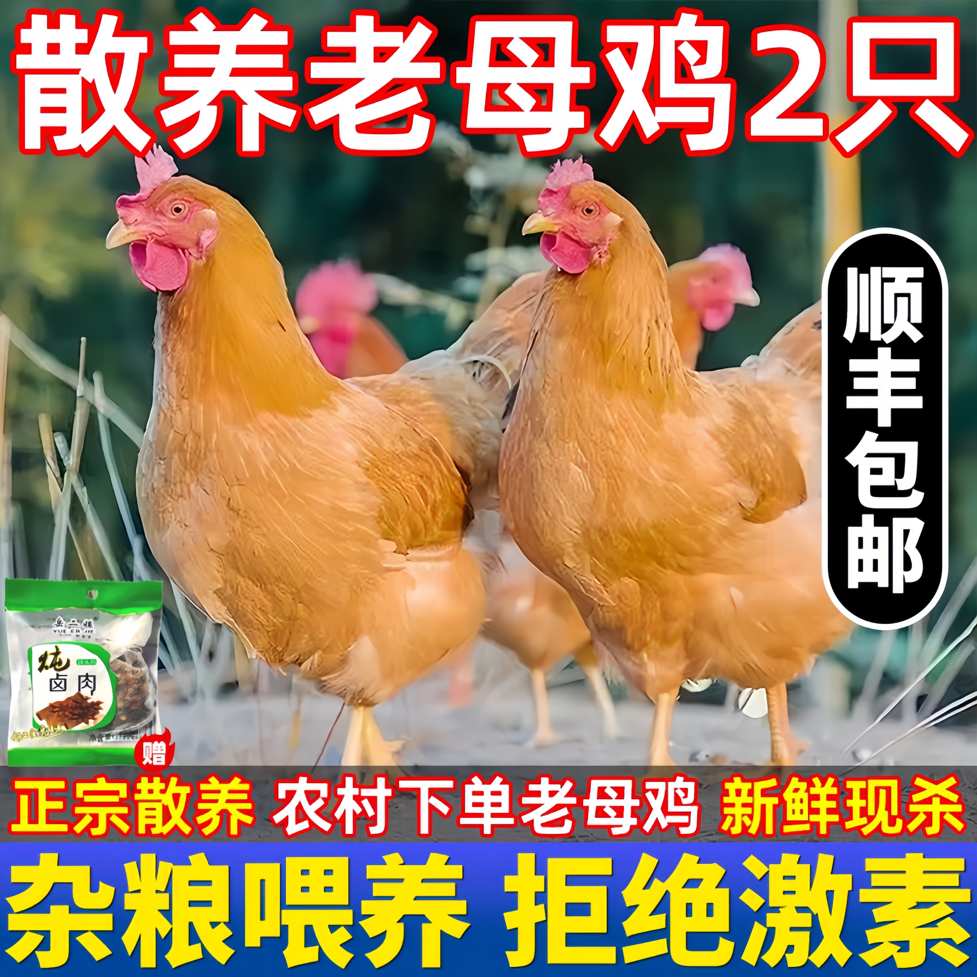 新鲜冷冻老母鸡散养走地月子煲汤