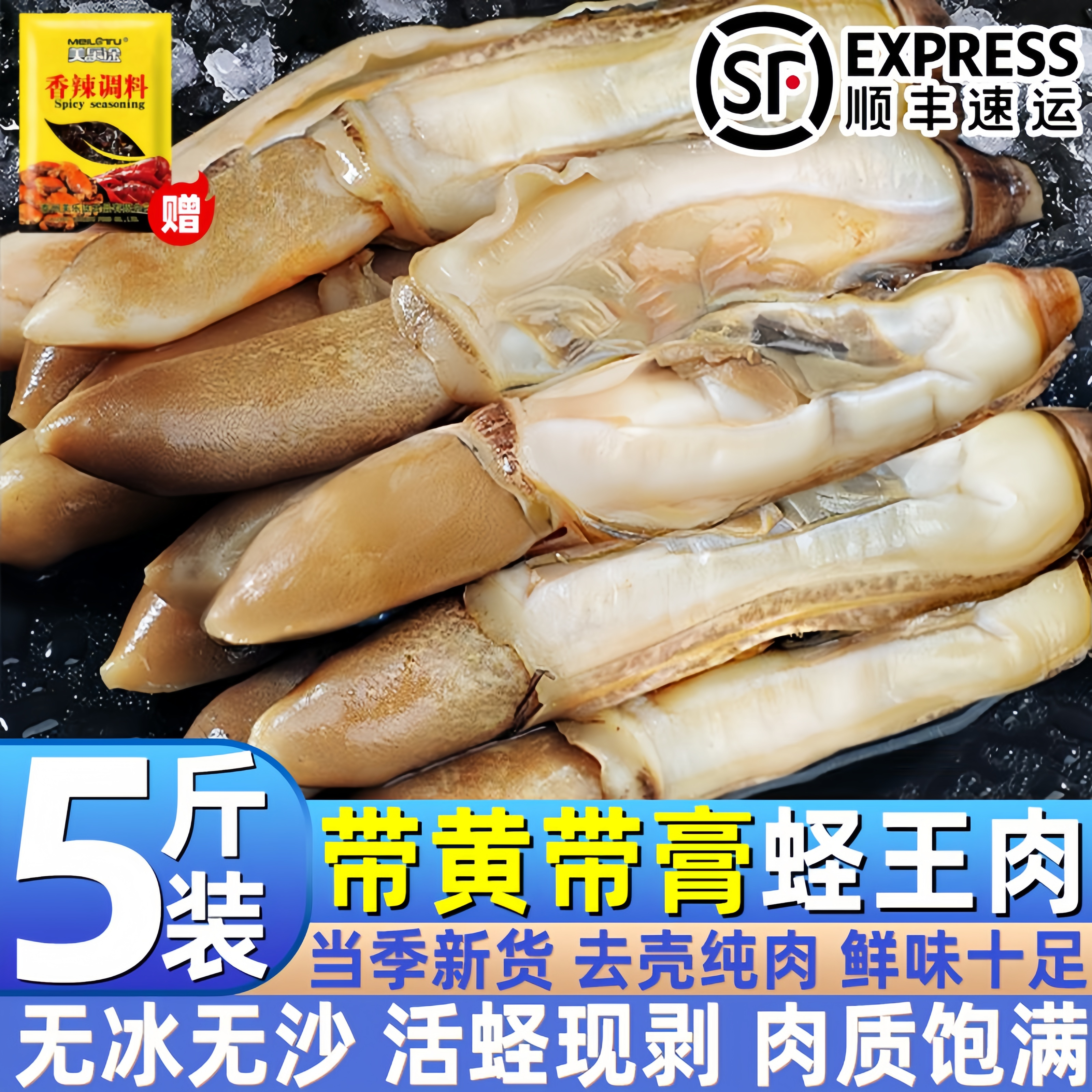 新鲜去壳蛏王肉速冻蛏肉新鲜大蛏子肉竹节蛏肉大竹蛏王肉无沙冷冻