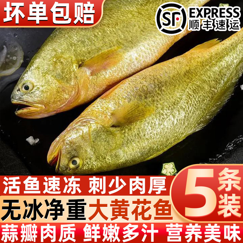 正宗深海黄花鱼速冻独立装批发