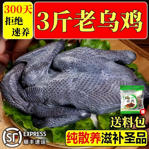 老母鸡土鸡新鲜现杀正宗下蛋