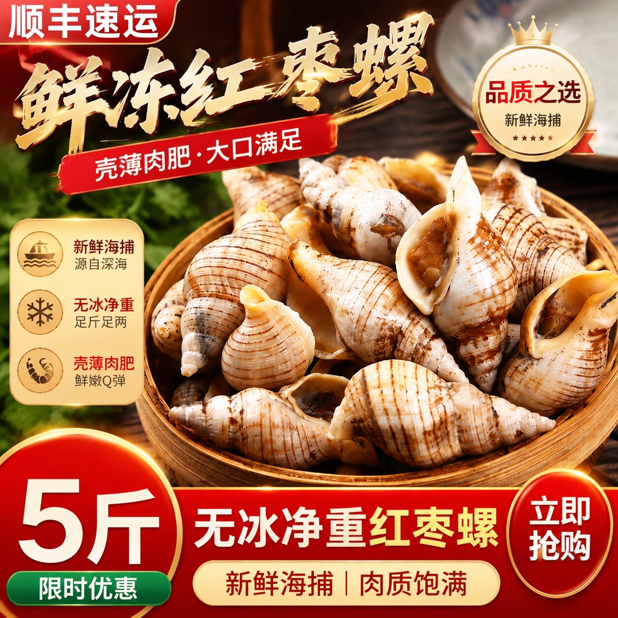 贝贝螺白玉螺鲜活速冻海螺批发