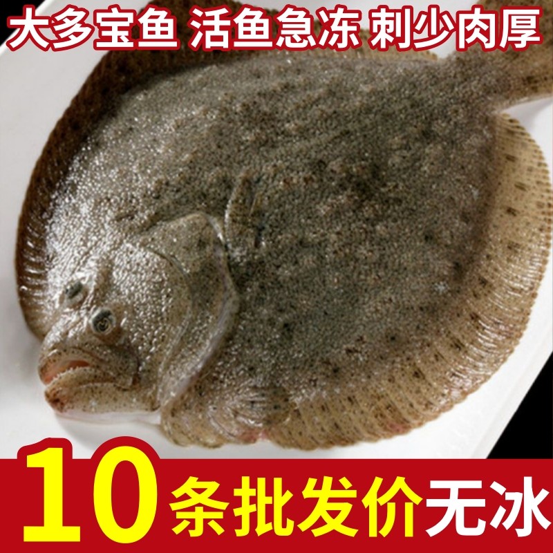 多宝鱼鲜活冷冻特大偏口鱼