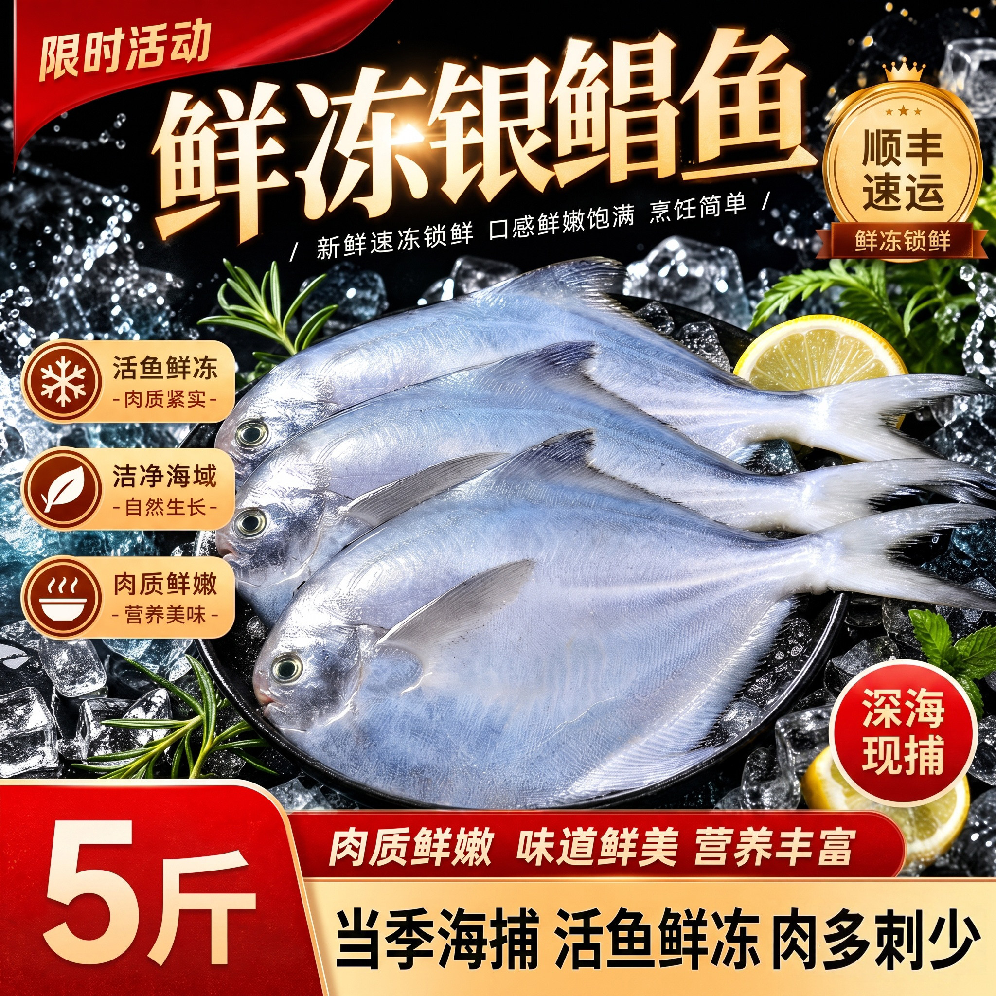 野生海捕新鲜大号银鲳鱼顺丰直达