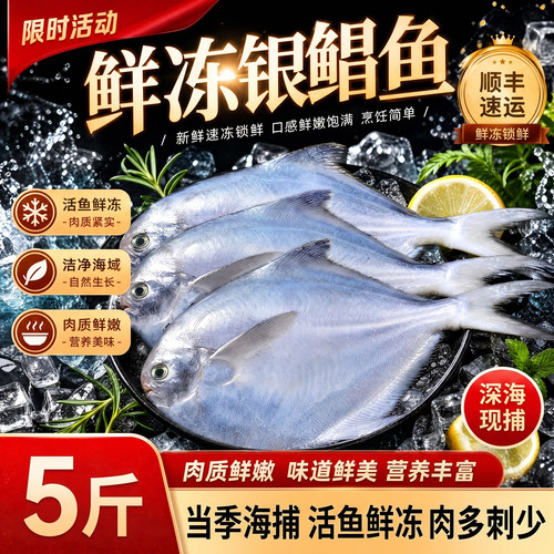 野生海捕新鲜大号银鲳鱼顺丰直达
