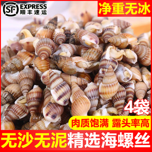 海螺丝鲜活冷冻海锥海瓜子熟冻海锥大号麻辣海螺丝新鲜螺丝海鲜