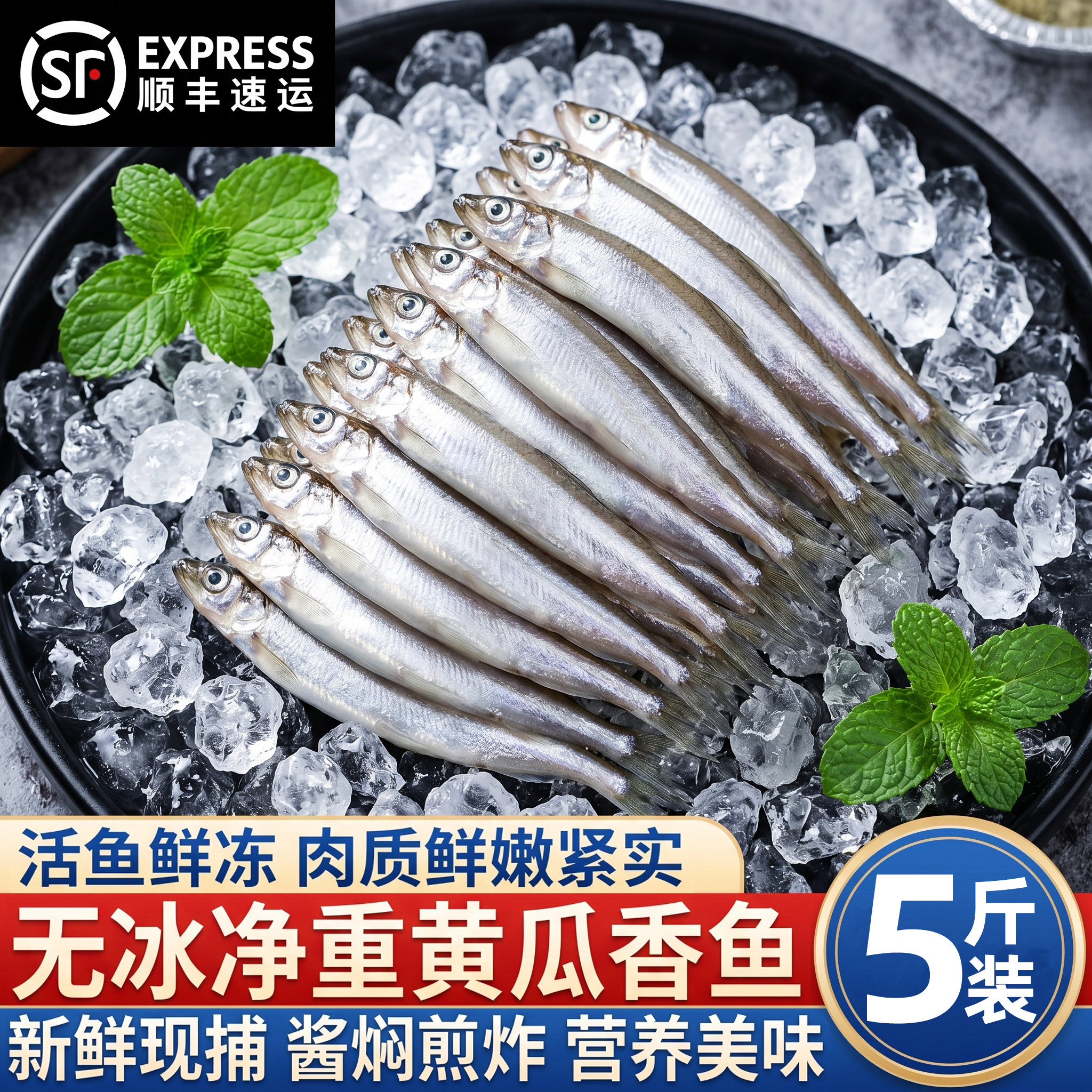 黄瓜香小鱼新鲜现捕活鱼速冻公鱼池沼公鱼东北特产河鱼海鲜水产